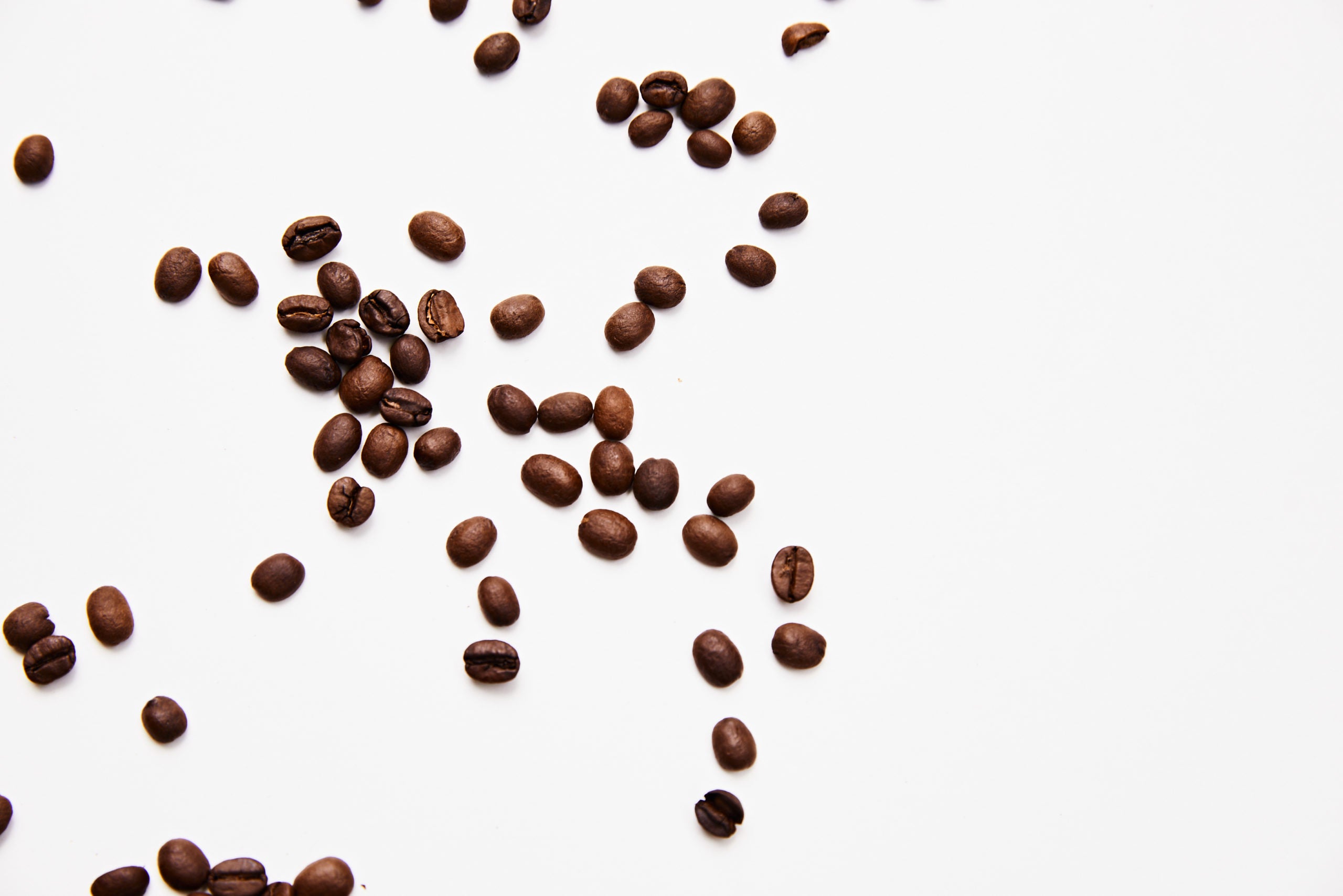 Coffee Beans 101: The 4 Most Popular Beans Explained
