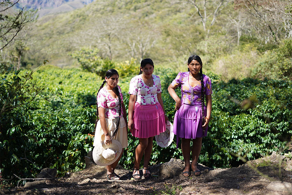 Bolivia | Floripondio | SL28 Natural