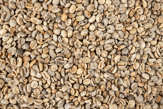 Don’t be fooled: Mold and Mycotoxin-free Coffee