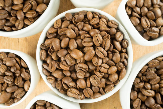 Best Coffee for Light Roast Lovers 2025: Our Top 10 Picks