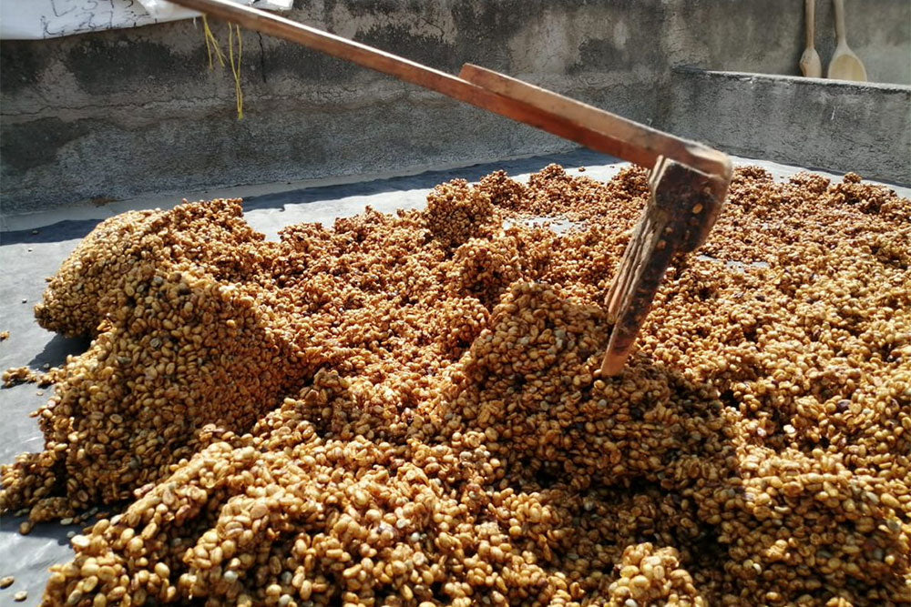 Honey Process Coffees