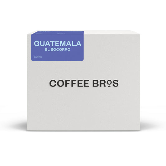 Guatemala | El Socorro | Pacamara Natural