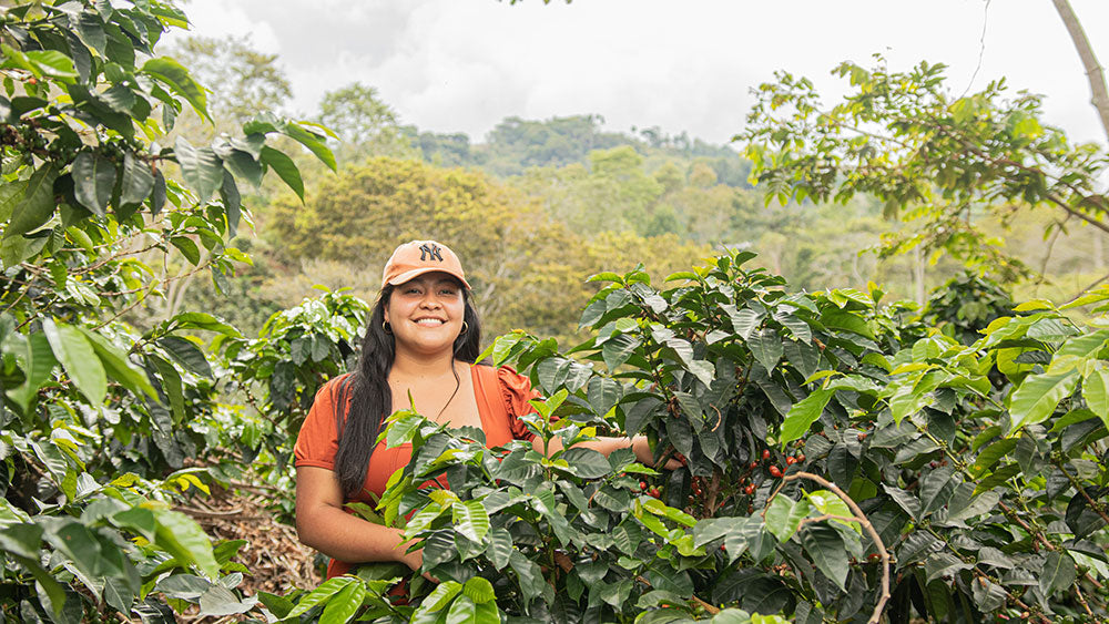 Colombia | La Muralla | Pink Bourbon Honey